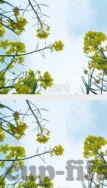爱浪足球比分网-爱浪足球比分网，球迷的实时信息港湾与情感共鸣站