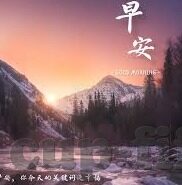足球比分500新浪-足球比分500新浪，球迷的实时数据乐园与赛事狂欢指南