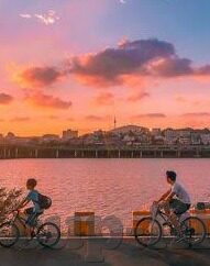 足球比分是88-足球比分88，一场数字背后的激情与梦想