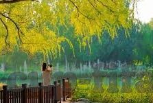 足球比分图文直播-足球比分图文直播，赛场风云实时呈现，球迷激情永不落幕