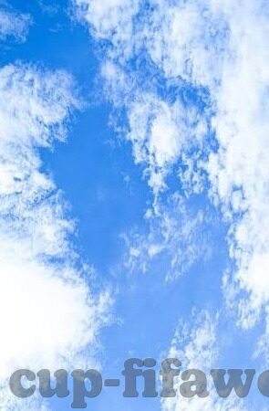 足球即时比分手机版-足球即时比分手机版，球迷的掌上观赛神器